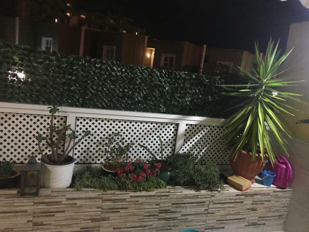 Orlando Apartment 阿德耶 外观 照片